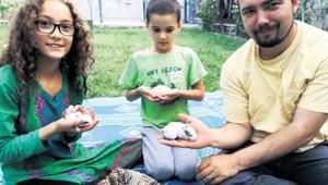 ‘Taliban liderinin başına ödül koyabiliriz’
