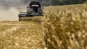 Rusya tarım sezonunda 57 milyon ton tahıl ihracatı planlıyor