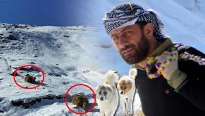 Hakkari dağlarında depolanıyor: Sadece yürüyerek gidilebiliyor, kızaklarla taşıyorlar