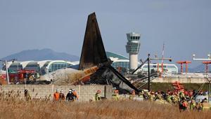 Güney Kore, 179 kişinin öldüğü uçak kazasının ardından kuş çarpması riskine karşı harekete geçti