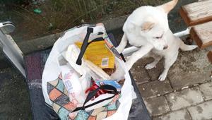 Yavru köpeği sokağa terk ettiler, bir de not bıraktılar