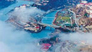 Tuncelide valilik kararı Sokak hayvanları toplatılacak