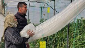 Hatayda çiftçiler don hazırlığı yapıyor