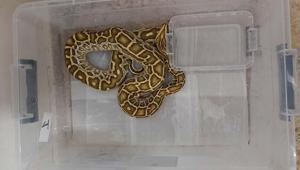 Ekipler ihbar üzerine harekte geçti Şoke eden görüntü