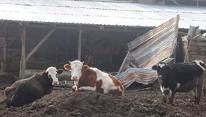 Bolu’da 22 köyde karantina Giriş çıkışları yasaklandı