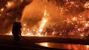 Dışişlerinden Güney Koreye orman yangınlarında hayatını kaybedenler için taziye