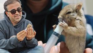 Donmak üzereyken kurtardı Minik misafirini şırıngayla besliyor