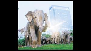 Filler Teksas’a göçtü