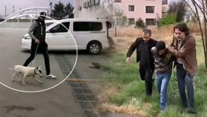 Türkiyede sadece 30 var 10 bin Euroluk köpeği çalan şahıs yakalandı