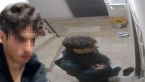 Kan donduran görüntü Sevgilisinin evine girip dehşet saçtı