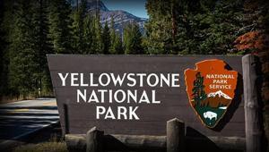 ABD’de tur minibüsü ile kamyonet çarpıştı: 7 ölü