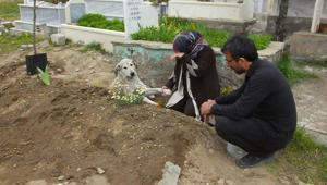 Herkes gitti bir tek o kaldı ‘Gece gündüz mezarlıkta yatıyor’
