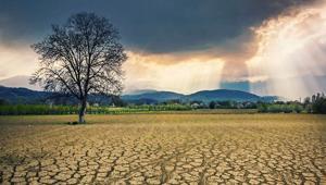 BMden uyarı: İklim değişikliği 2050ya kadar 80 milyon kişiyi açlığa itebilir