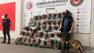 Ticaret Bakanlığından dev operasyon 418 milyon TL’lik uyuşturucu ele geçirildi