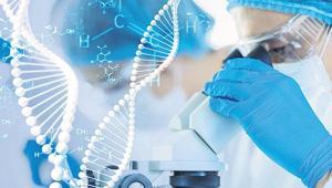 DNA’da devrim Genetik hastalıklar artık ‘onarılabiliyor’