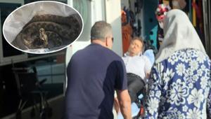 Ailesi ile pikniğe gitti dehşeti yaşadı Engerek yılanı ayağını ısırdı