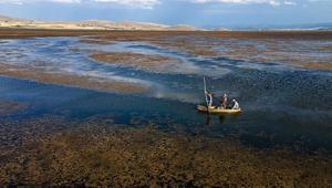 10 soruda Türkiyenin ilk İklim Kanununun merak edilenleri