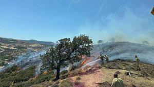 Çanakkale’de korkutan yangın! Havadan ve karadan müdahale başladı