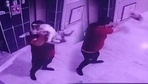 Konya’da vahşet! Hamile kediyi kameraya gösterip yere fırlattı