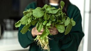 Roka yıkansa da çıtır çıtır kalacak Hemen bozuluyor ama bu taktikle 1 hafta taze