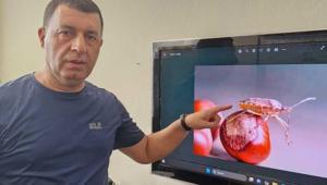 Karadeniz’den sonra bir kenti daha istila etti ‘Bunların yok edilmesi gerekiyor’