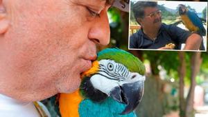Turgut Özalın kaybolan papağanı Cabbar 3 gün sonra bulundu