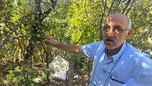 Eskişehirde şaşkına çeviren manzara: Ne yazık ki ekolojik denge bozuldu