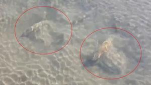 İznik Gölü’nün dibinde fark edildi Uzmanlar bölgede