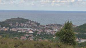 Amasrada denizin rengi değişti