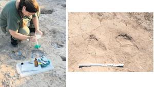 Adımlar yedi bin yıl önceden