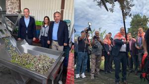 Zeytinyağı başkentinde Hasat ve Turizm Festivali 506 milyon dolar gelir