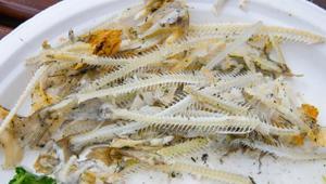 Balık kılçığı yüksek kaliteli kolajene nasıl dönüştürüldü