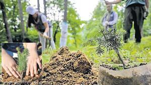Her bebek için bir fidan Yeşil Vatan seferberliği başlıyor