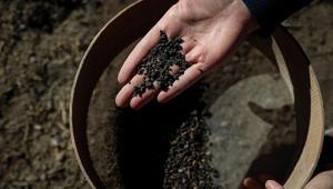 Vanda 5 bin yıllık arpa taneleri bulundu