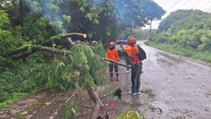 ABDden Jamaikaya yardım taşıyan küçük uçak düştü