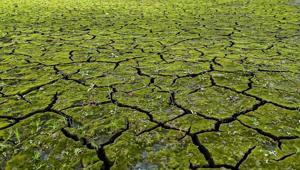 İstanbulda korkutan manzara Seviye yüzde 21,41 olarak ölçüldü