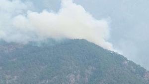 Hatayda orman yangını Ekipler sevk edildi