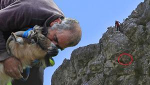3 keçisini kurtlara kaptıran çobanın yürek burkan anı: Dört gündür oradaydı