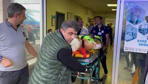 Mantar toplarken dehşeti yaşadı Ayı saldırısına uğrayan köy imamı yaralandı