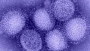 Yeni virüs alarmı H3N2 dünyada hızla yayılıyor: DSÖ’den acil uyarı