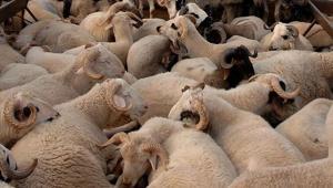 KURBAN BAYRAMI 2026 TARİHİ: Kurban Bayramı ne zaman başlıyor 2026 Kurban Bayramı tatili takvimi