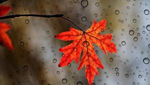 HAFTA SONU HAVA NASIL OLACAK 15-16 Kasım Cumartesi-Pazar hava durumu tahminleri: Meteoroloji son hava durumu bugün hava nasıl