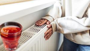 Kaloriferler boğazı kupkuru ediyor Bu doğal karışımı koyun, tarçın işi çözecek