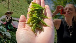 Çaya gitmemek için dua ederdi, şimdi ustası oldu: Tavşan kanı böyle demlenir