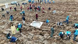 11 Kasım Milli Ağaçlandırma Gününde çifte rekor kırıldı