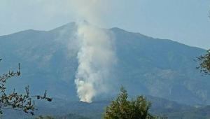 Muğlada orman yangını Ekipler müdahale ediyor