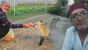Küs kardeşlerin sıra dışı tilki rekabeti Biri mangal partisi yaptı, diğeri pasta: Konuşmasak da kardeş atılmaz