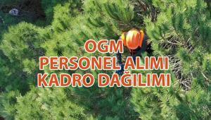 OGM PERSONEL ALIMI NE ZAMAN 👷‍♂️ Orman Genel Müdürlüğü 496 personel alımı başvuru nasıl yapılır, şartları neler Alım yapılacak kadrolar neler