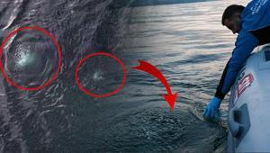 Sapanca Gölünde neler oluyor Panik yaratan hareketliliğe açıklama geldi