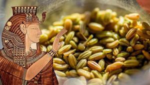 Kleopatranın arınma sırrı ortaya çıktı: Bu diyetle güzelliğini koruyordu